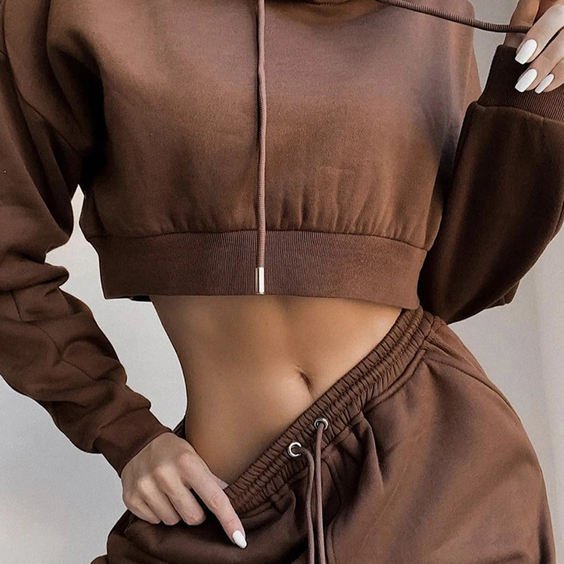 2025 New Autumn Sports Suit Women's Casual Loose Large Size Hooded Many Colors Long-Sleeve Tracksuit Hoodie Sweatshirt Sets
