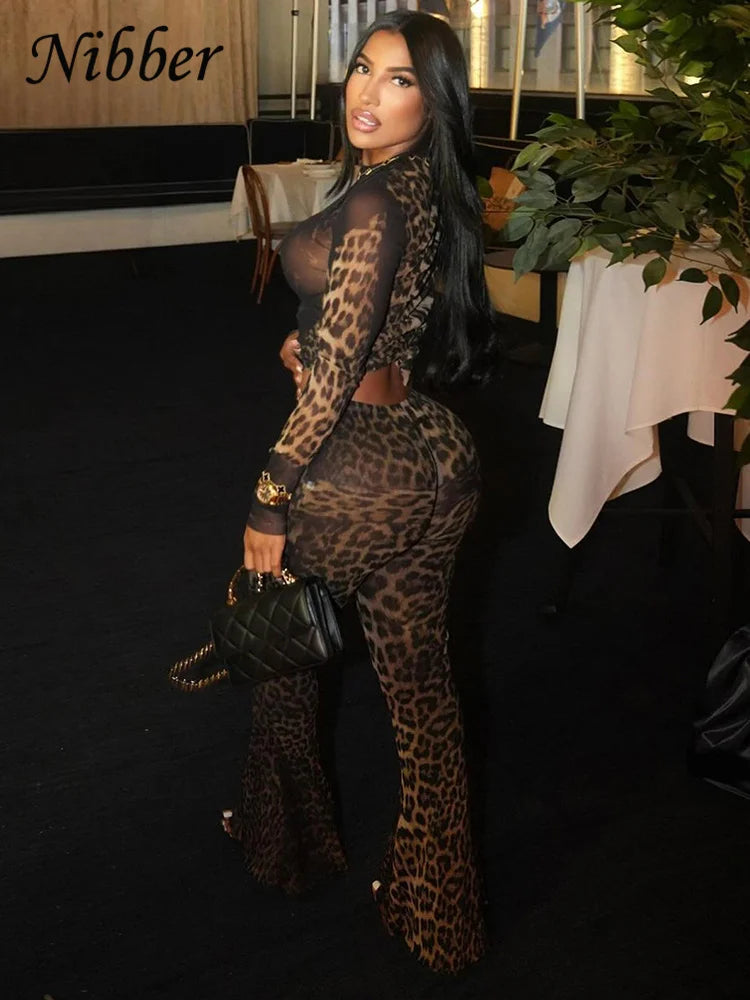 Nibber Sexy 2 Piece Set Women See Through Midnight Party Full Sleeve Crop Tops+Pants Matching Clubwear Skinny Autumn Outfits